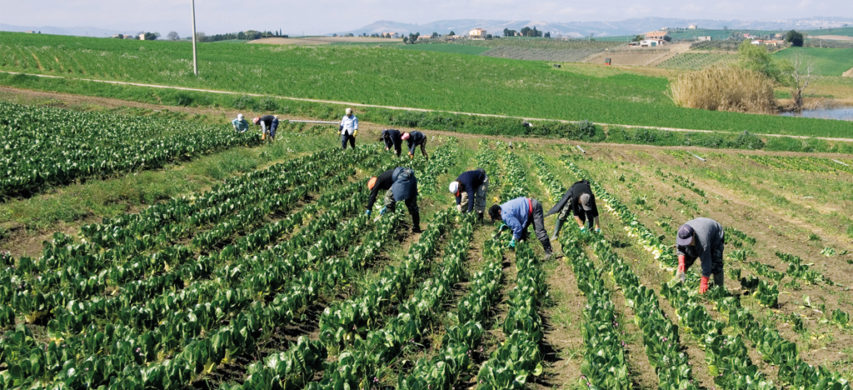 Braccianti: Servi nel terzo millennio.