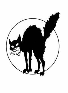 Una testata, un’idea, un programma, una pratica.