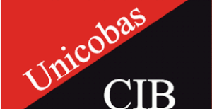 Cib Unicobas